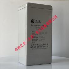 圣阳蓄电池GFMD2V300AH EPS电源直流屏UPS电源沃UPS 圣阳GFMD-300