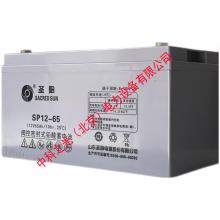 圣阳蓄电池SP-12系列阀控式铅酸免维护12V65AH UPS电源EPS直流屏