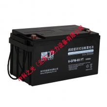 科华精卫蓄电池6-GFM-65 12V6...