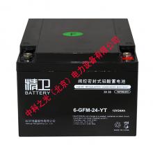 科华精卫蓄电池6-GFM-24 12V2...