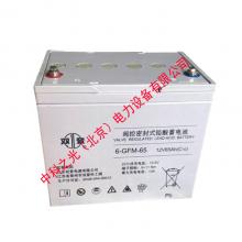 双登蓄电池6-GFM-65 12V65AH铅酸免维护UPS电源机房应急电池