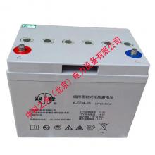 双登蓄电池6-GFM-65 12V65AH铅酸免维护UPS电源机房应急电池