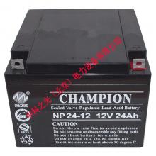 冠军蓄电池NP24-12 12V24AH...