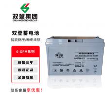 双登6-GFM系列铅酸免维护蓄电池UPS不间断电源专用电脑路由器停电备用