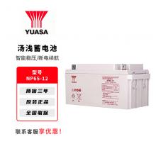 汤浅蓄电池UPS不间断电源专用NP系列7...