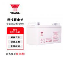 汤浅蓄电池UPS不间断电源专用NP系列7-250AH蓄电池电脑路由器停电备用