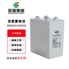 双登GFM系列铅酸免维护蓄电池UPS不间断电源专用电脑路由器停电备用