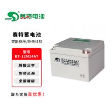 赛特BT系列铅酸免维护蓄电池UPS不间断...